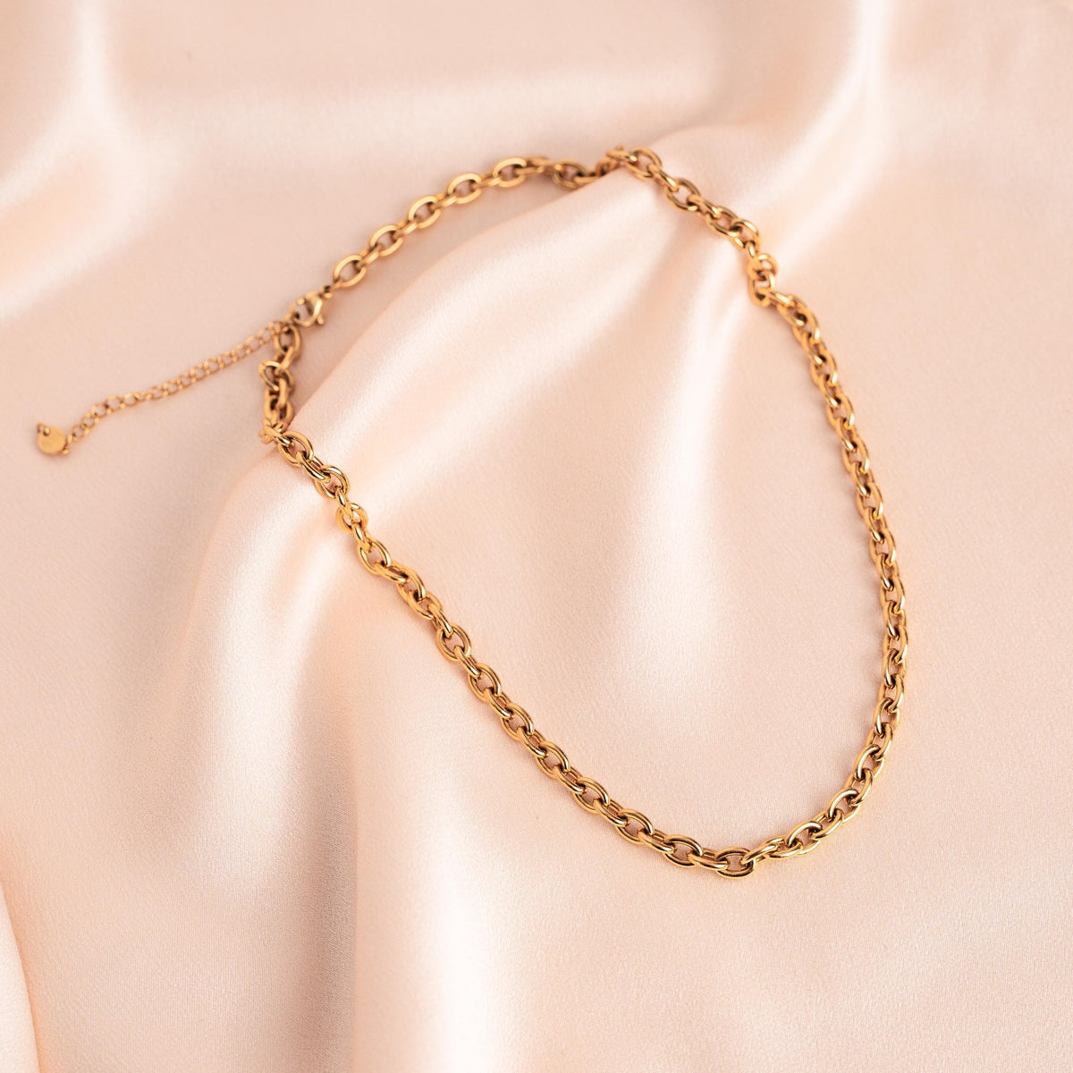 Collier grosse chaîne ovale ras de cou Marion photo 8